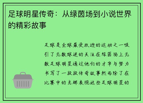足球明星传奇：从绿茵场到小说世界的精彩故事